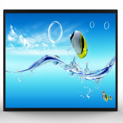 32 inch High Brightness Wall-Mounted Advertising LCD Display